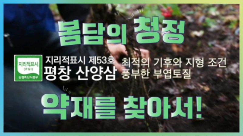 청정약재.jpg