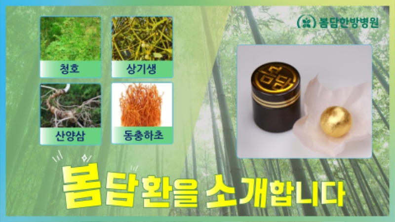 봄담환.jpg