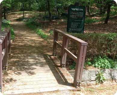 봄담한방병원 피톤치드 산책로 — 간경화 환자 자연 치유 회복 환경